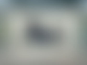 Catching up with the critters