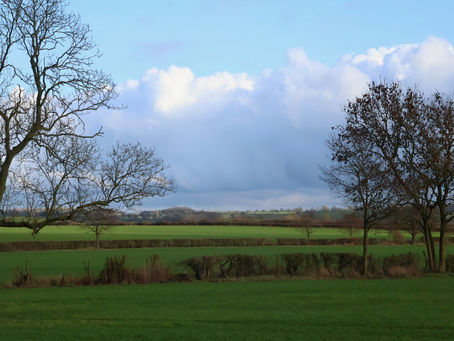 Calm(ish) after the storm