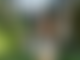 It's a kind of magic...