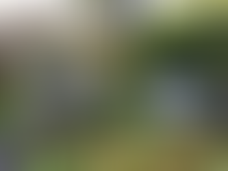 Not a day for sunbathing