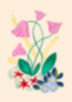 Tulipes roses