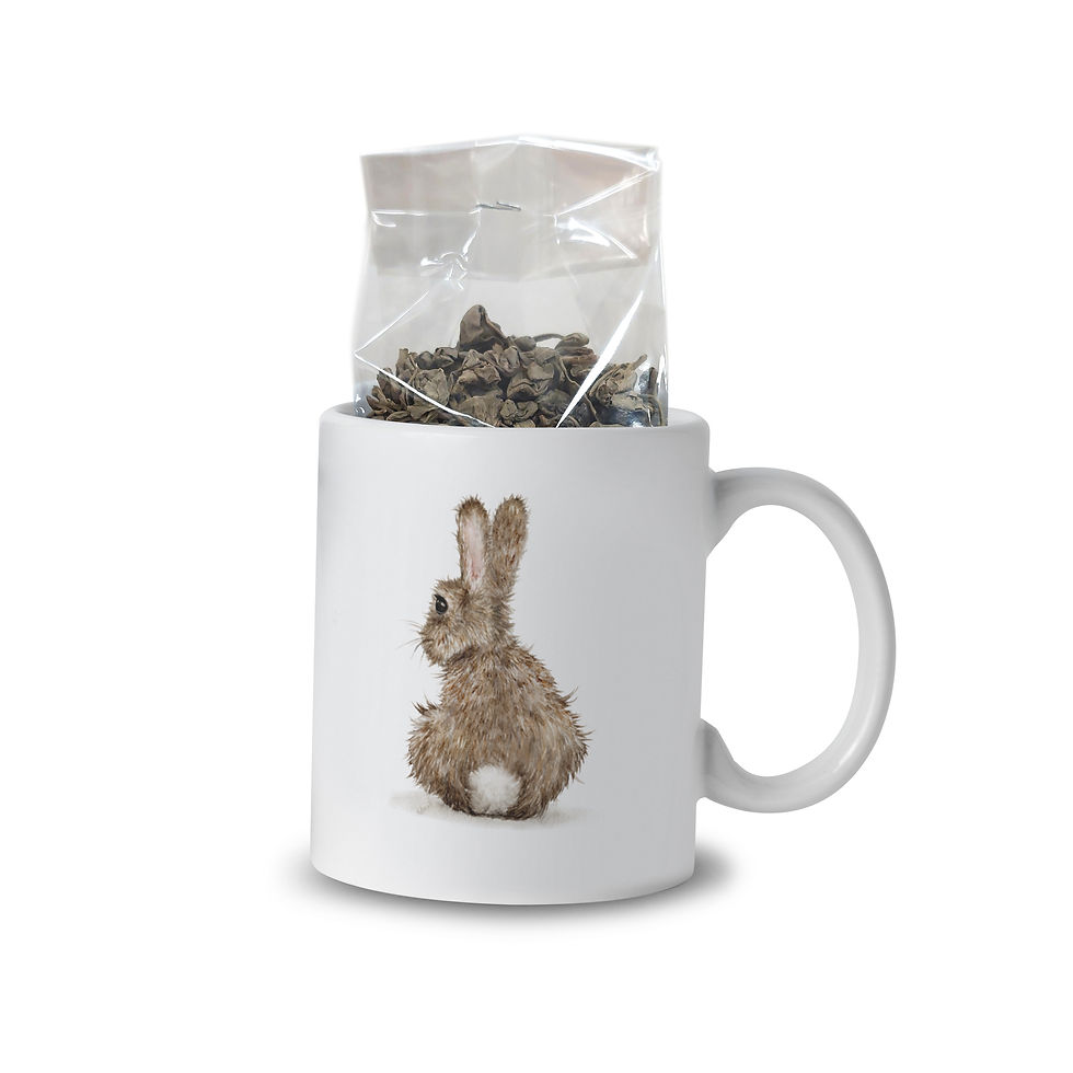 Thumbnail: Mok - Bunny