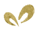 Strik GOUD TGCC.png