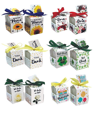 DUITS LAURA LILLY copy.jpg
