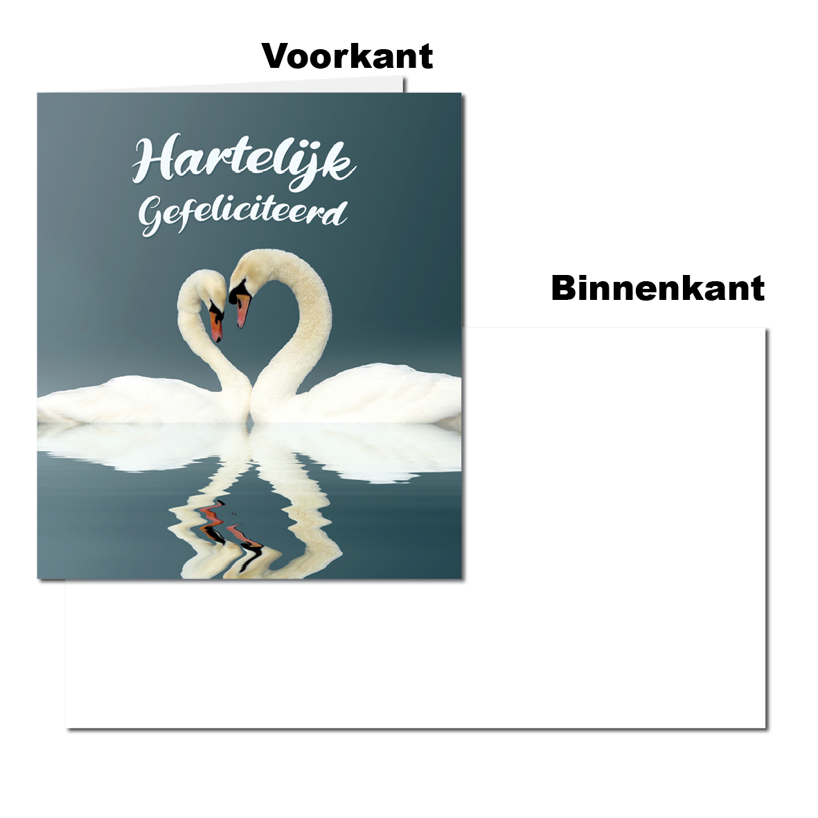Wenskaart - Huwelijk - Just Married