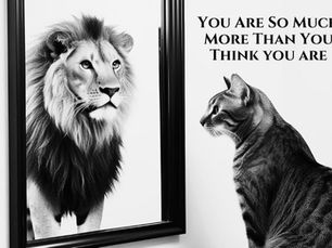 You Are Not Who You Think You Are (You Are So Much More!)