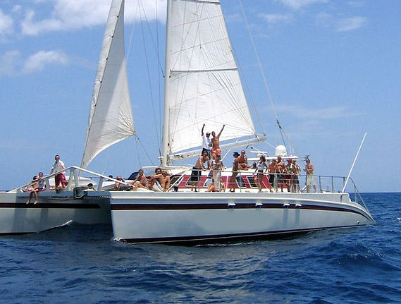 Catamaran3.webp