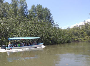 Mangove boat 2.jpg