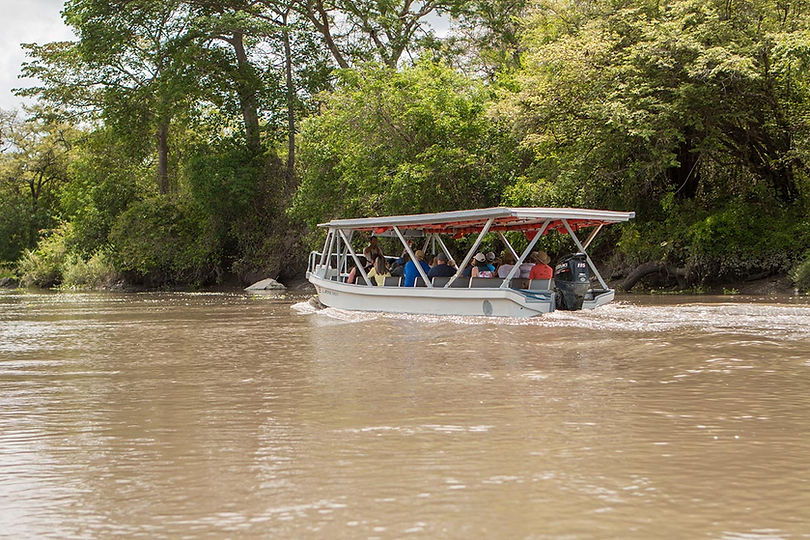 Boat-Tour--image-4.jpg