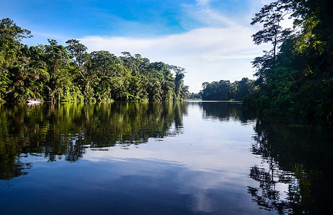 140922Tortuguero1.jpg