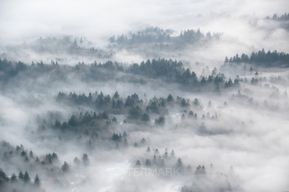 Fog partially covering layered hills and forest.