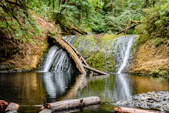 Log fallen over waterfall that is reflecting off river in forest.
