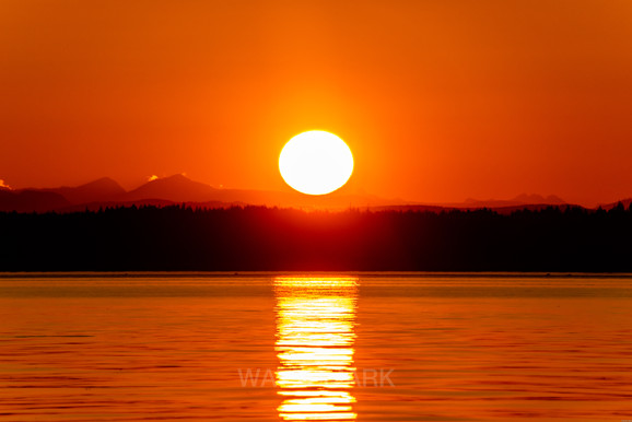 Sun going down over the horizon and reflecting off the ocean with orange glow.