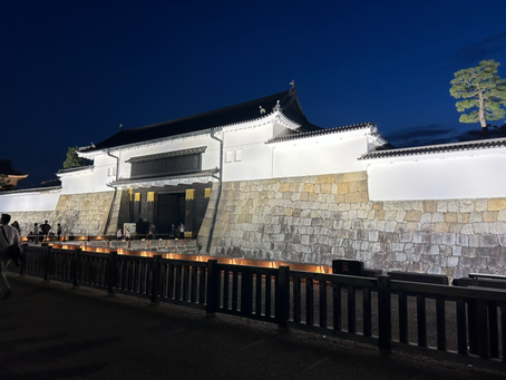 [京都] 二条城桜ライトアップ[Kyoto] Cherry blossom illumination at Nijo Castle