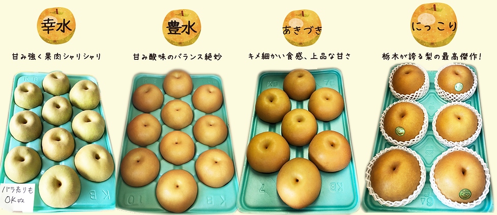 釜井果樹園 定番品種