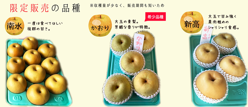 釜井果樹園 限定品種