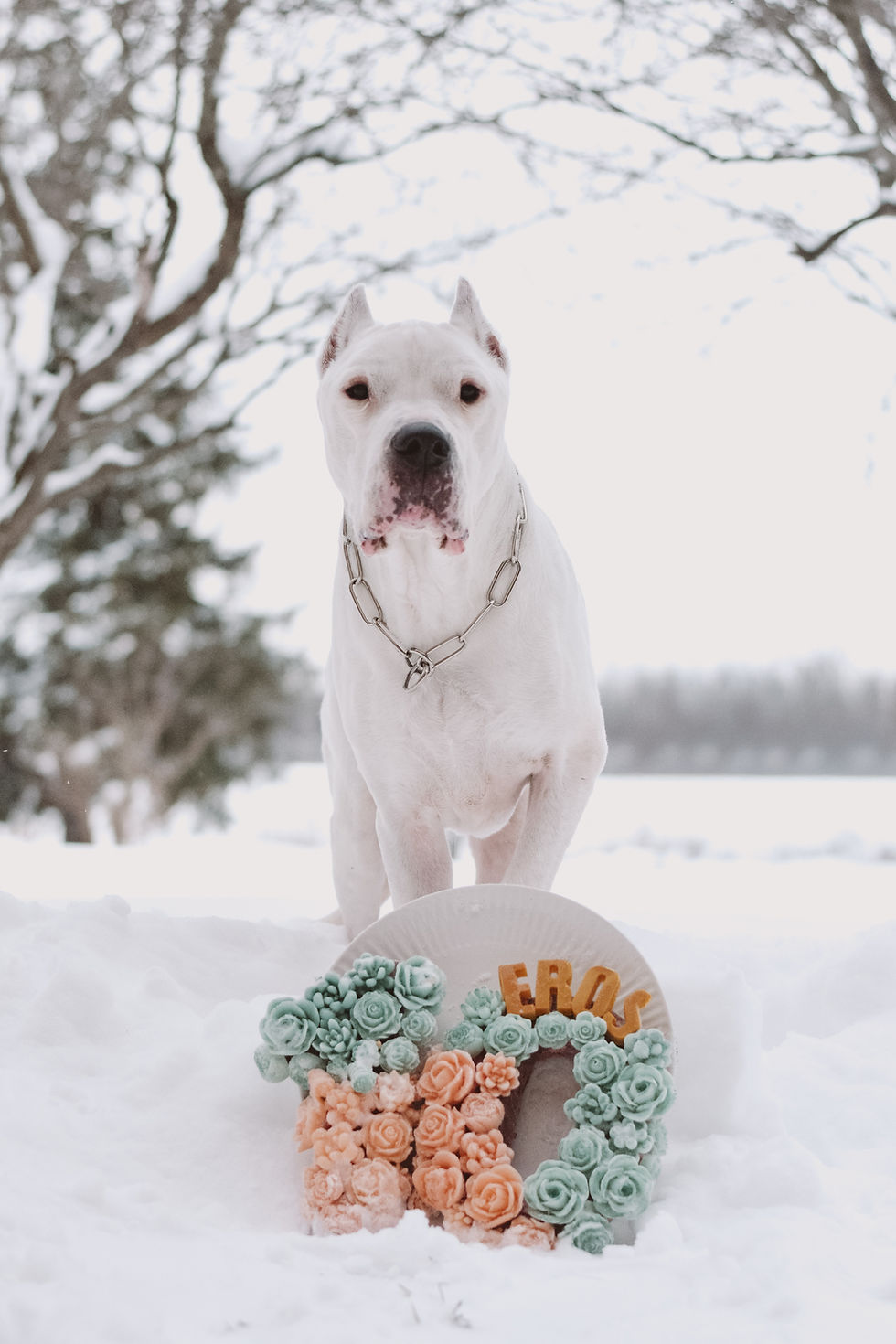 Miniature : Custom Raw Cake