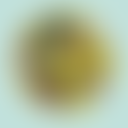 Chi cerca casa cosa cerca? Casa Doxa 2021