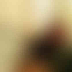 CECILIA MASSIGNAN HOME STAGING PISA LIVORNO TOSCANA ON LINE