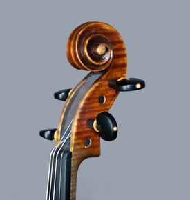 violin luthier willian guarneri il cannone