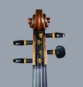 violin luthier willian guarneri il cannone
