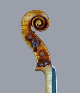 violino luthier willian guarneri panette