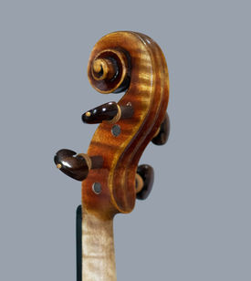 violino luthier willian guarneri plowden