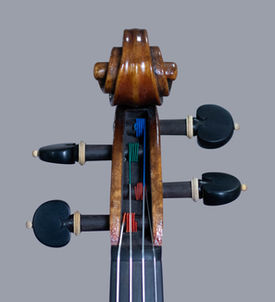 violino luthier willian guarneri carrodus