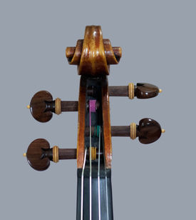 violino luthier willian guarneri plowden