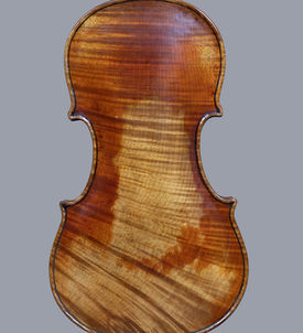 violino luthier willian guarneri carrodus