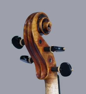 violino luthier willian guarneri carrodus