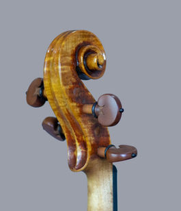 violino luthier willian guarneri panette