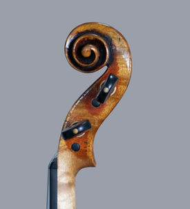 violino luthier willian guarneri carrodus