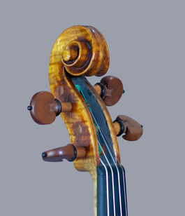 violino luthier willian guarneri panette