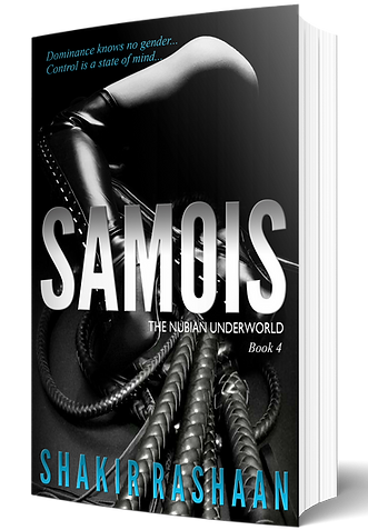 Samois - 3D Book 2027.png