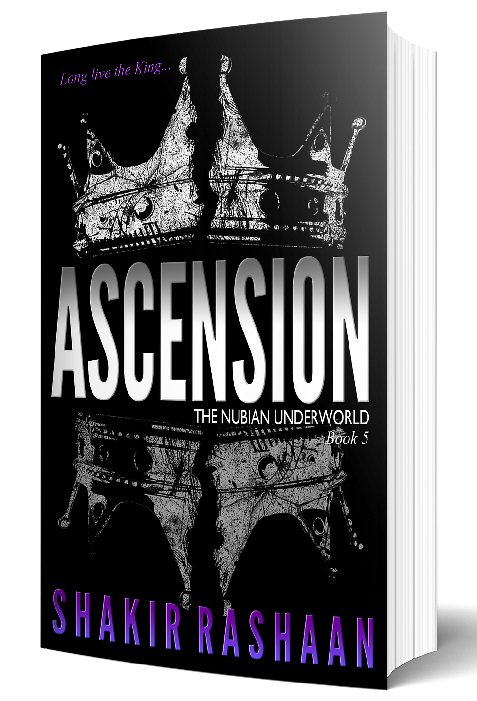 Miniatura: Ascension (Nubian Underworld #5)