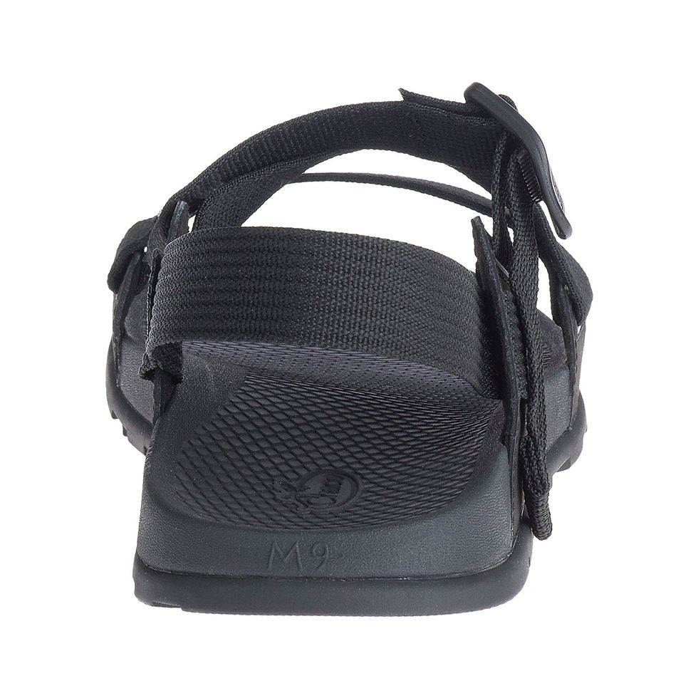 ภาพขนาดย่อ: CHACO LOWDOWN SANDAL MEN BLACK