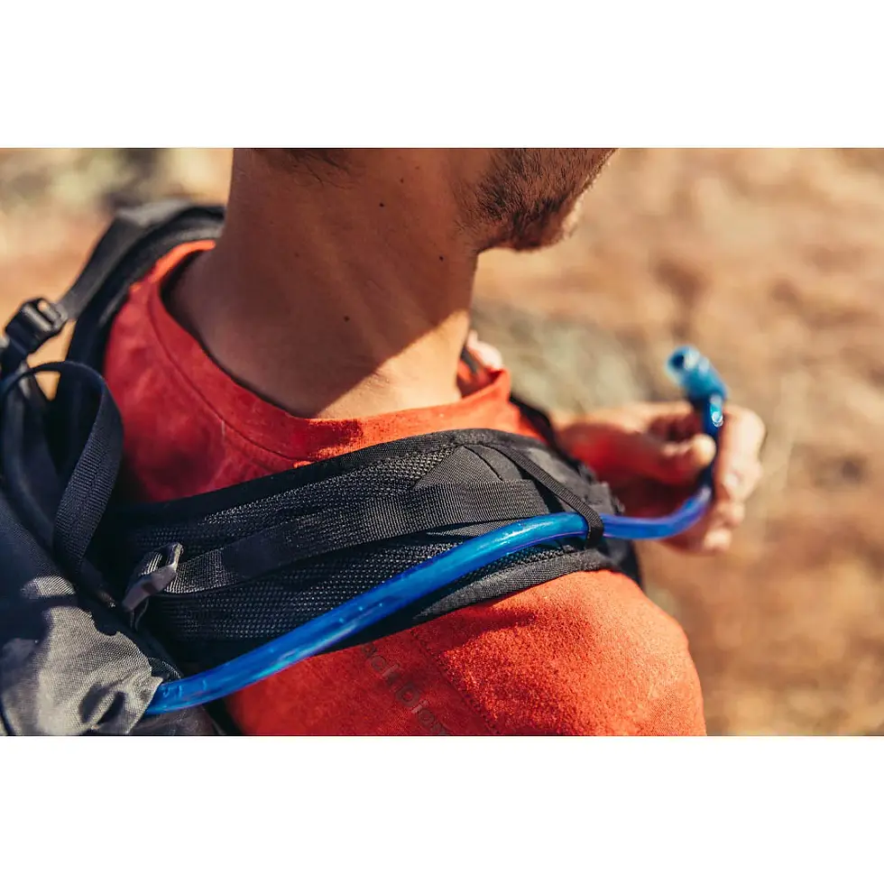 ภาพขนาดย่อ: Gregory Arrio 18