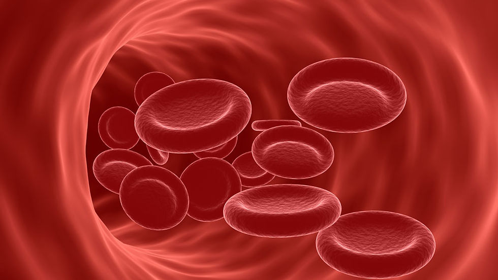 Vascular-detox-pagetitle.jpg
