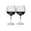 ภาพขนาดย่อ: GSI NESTING RED WINE GLASS SET 79312