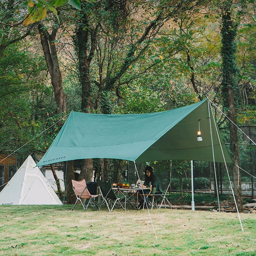 ภาพขนาดย่อ: BLACKDEER Tarp Canopy Sunshade Green