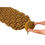 ภาพขนาดย่อ: Coleman JP Compact Inflator Mat