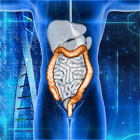 3d-render-male-medical-figure-with-colon-highlighted-Web.jpg