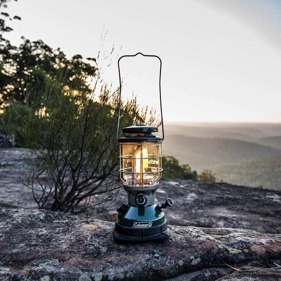 ภาพขนาดย่อ: COLEMAN USA Northstar EI Dual Fuel Lantern