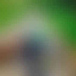 vélo sur les voies vertes pales