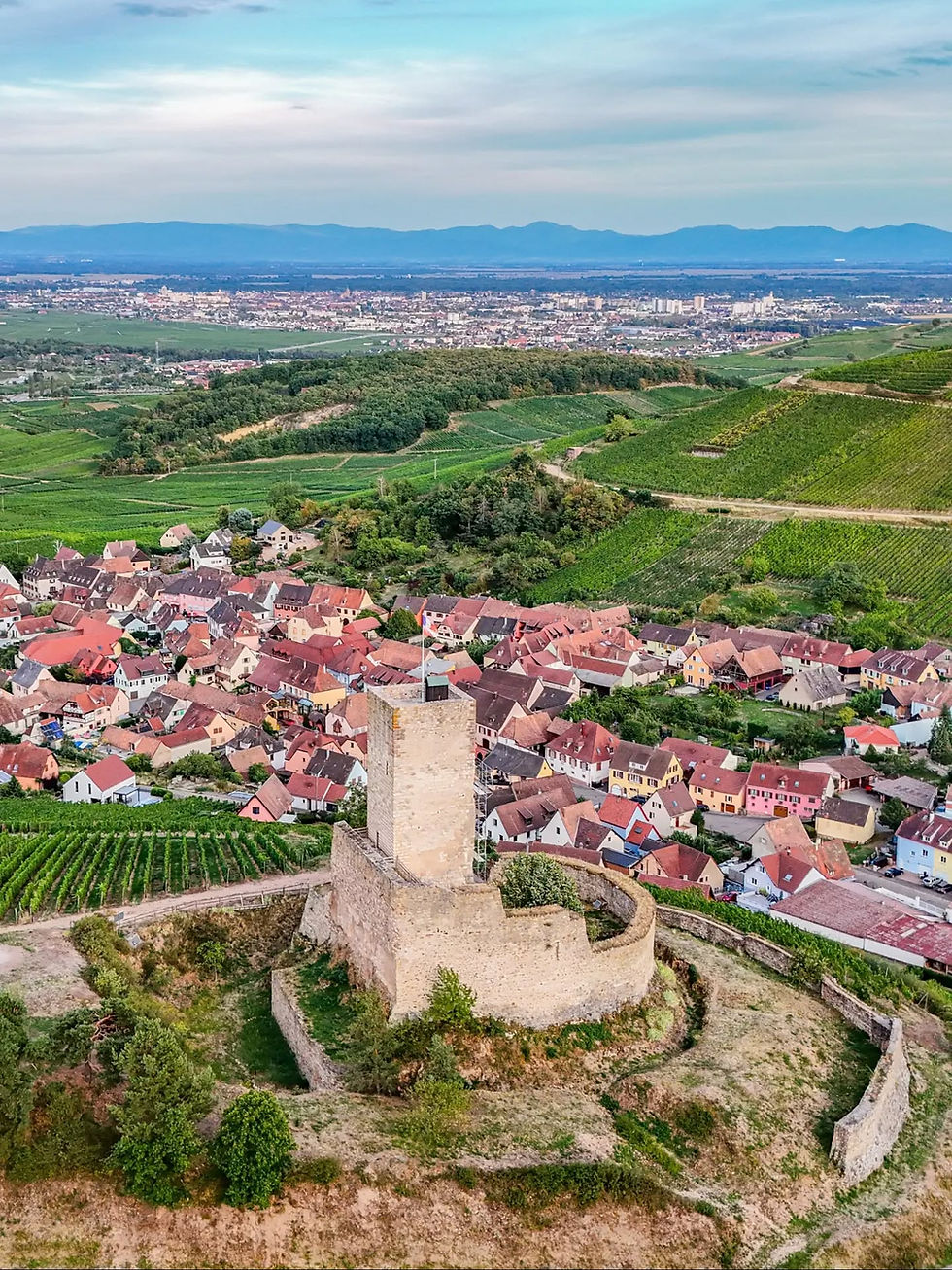 Que faire et visiter Colmar et autour ?