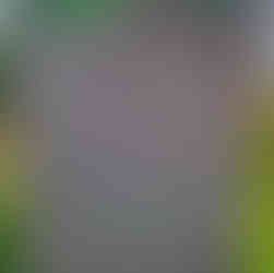 Route des légendes Bern