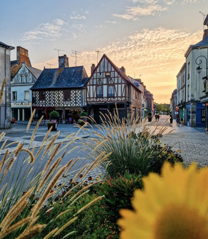 Que faire et que voir à Vitré? La Guerche de Bretagne