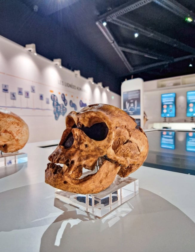 faire en Correze quand il pleut?