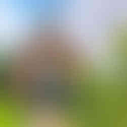 Que visiter a Parfondeval